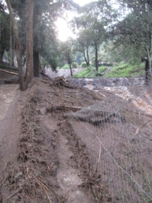 This is the gully that the mud and debris tore through.