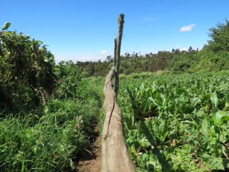 ???????????????????????????????