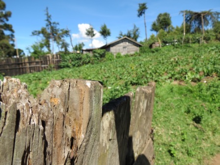 ???????????????????????????????